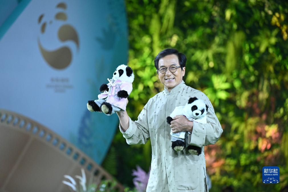 十博怎么登录不了